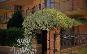 B&B Lasso Felice